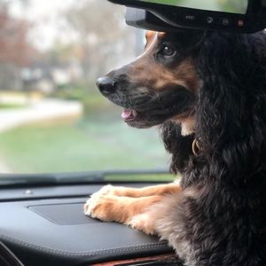 Meet your Posher, Karin